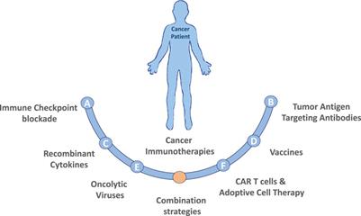 Frontiers Next Generation Immunotherapies To Improve Anticancer Immunity